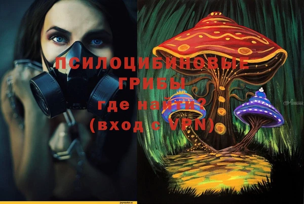 крисы Богородск