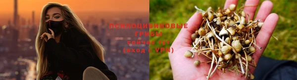 mix Бородино